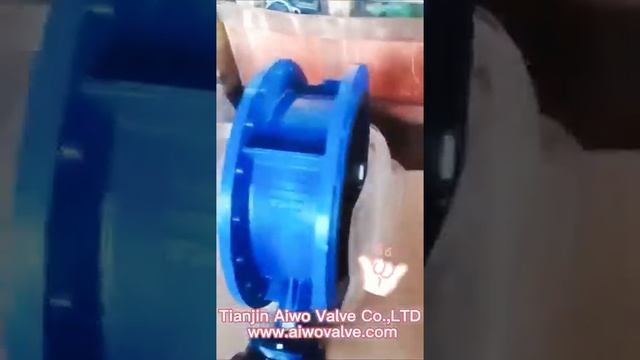 flange butterfly valve#butterflyvalve #valve #valvesupplier #valvesoftware # #flanges #decompress смотреть онлайн