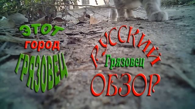 ЗаставкаГрязовец ТВ смотреть онлайн