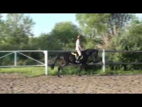 кск Воскресенск Падишах5 смотреть онлайн