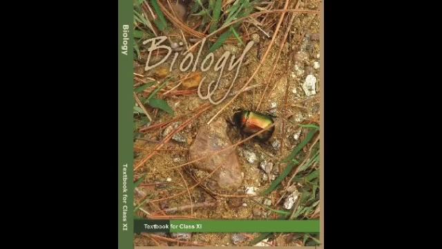 Photosynthesis paper discussion смотреть онлайн