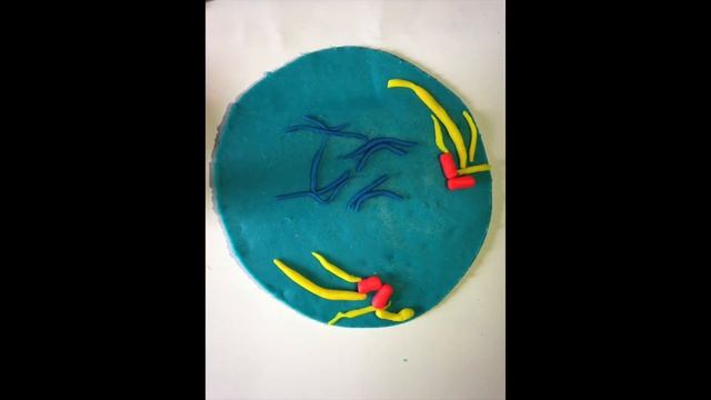 Cell Cycle смотреть онлайн