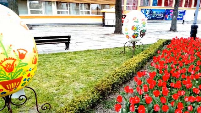 У Рівне квітнуть тюльпани смотреть онлайн