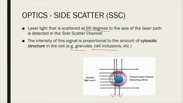 Dr. Hong's Biotechnology: Antibodies for Diagnostics смотреть онлайн