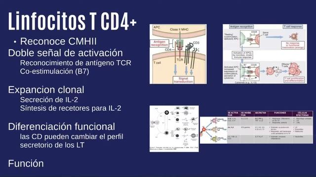 Respuesta adquirida linfocitos T CD4 смотреть онлайн