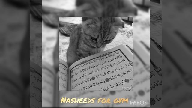 𝙽𝙰𝚂𝙷𝙴𝙴𝙳𝚂 𝙵𝙾𝚁 𝙶𝚈𝙼 𝙼𝙼𝙰🫀🫀🫀Нашид #nasheed #mishary #nasheedsforhum ☝️☝️☝️