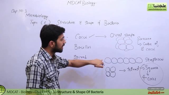 MDCAT Biology, Entry Test, Ch 3, Structure & Shape of Bacteria-Chapter 3 Microbiology смотреть онлайн