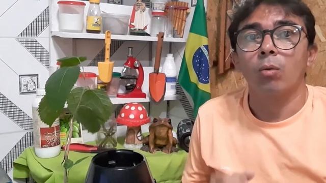 Como fazer ENRAIZADOR COM TIRIRICA, Melhor Enraizador Natural do Mundo смотреть онлайн