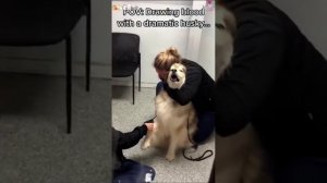 Страх перед уколом