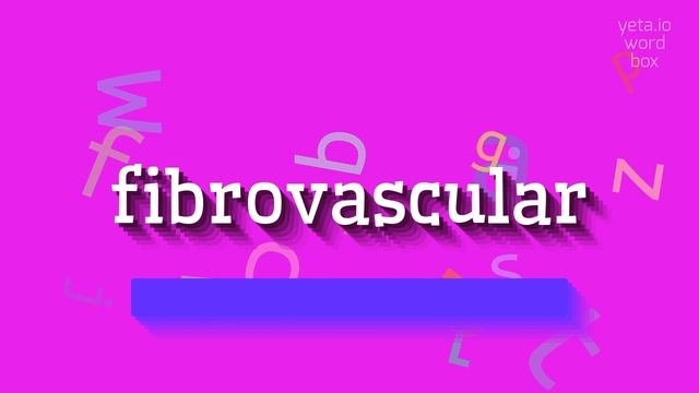 HOW TO SAY FIBROVASCULAR? #fibrovascular смотреть онлайн