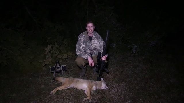 Night Vision Coyote Hunting - Photon XT смотреть онлайн