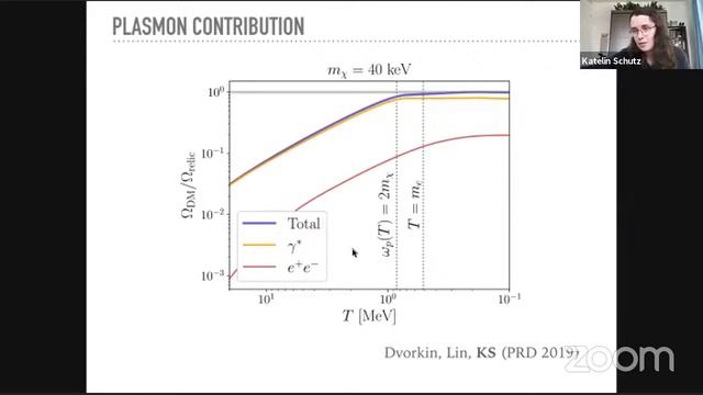 Katelin Schutz: Plasmon phase sapce and millicharged particles смотреть онлайн