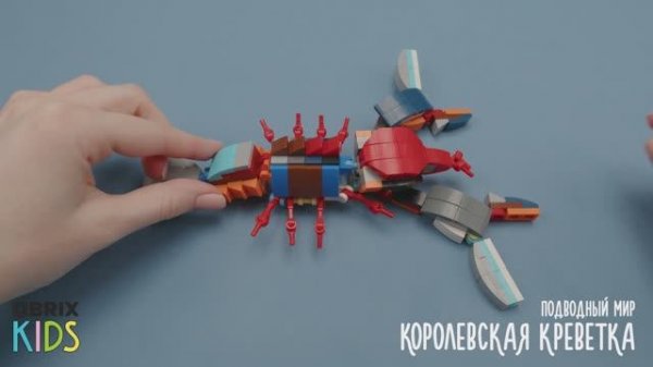 Собираем креветку из конструктора QBRIX KIDS - коллекция детских конструкторов с видеоинструкциями