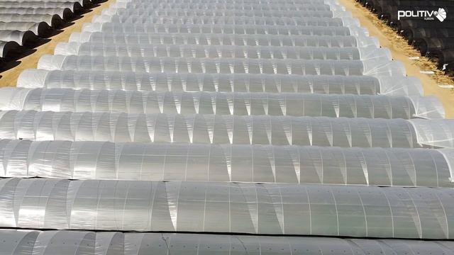 Politiv Europa · Smart films that protect your crop смотреть онлайн