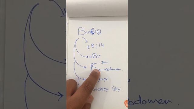 Burkit’s Lymphoma Made easy to memorise смотреть онлайн