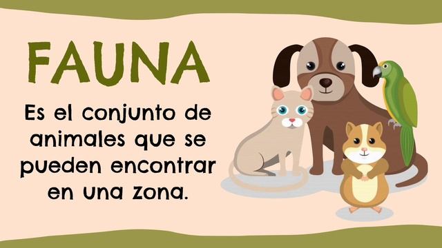 ¿Qué es la flora y fauna? смотреть онлайн