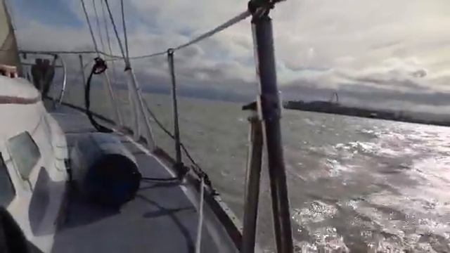 Sailing sf bay смотреть онлайн