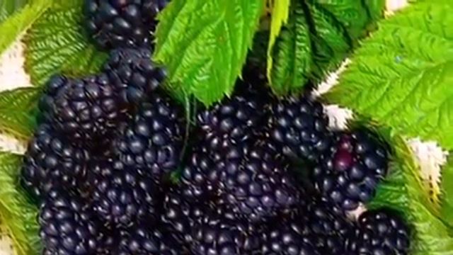 ДЕТОКС / ПОМОЩЬ ВАШЕМУ ОРГАНИЗМУ смотреть онлайн