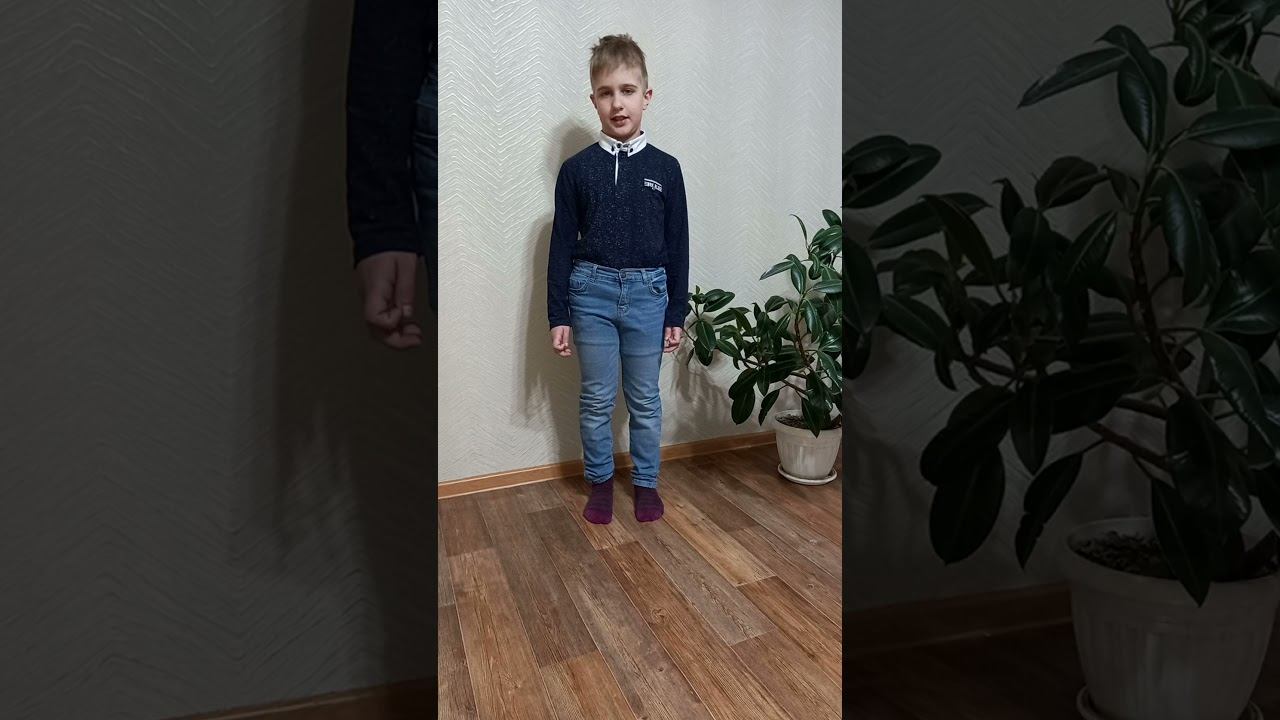 Смирнов Леонид, Стихотворение Поет зима, аукает С А Есенин смотреть онлайн