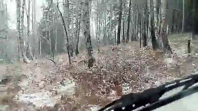 На ниве по заснеженному лесу смотреть онлайн