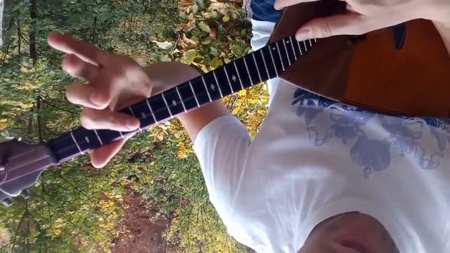 Широка страна моя родная на балалайке. Урок 43. Уроки игры на балалайке смотреть онлайн
