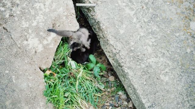 The Dam - Sony a6500 4K UHD film | S-Log2 | 24fps смотреть онлайн