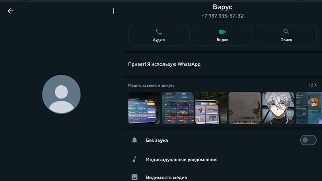 +7 987 335-57-32 номер скамера звоните и говорите плохие вещи и кидайте жб айди его 209980808 смотреть онлайн