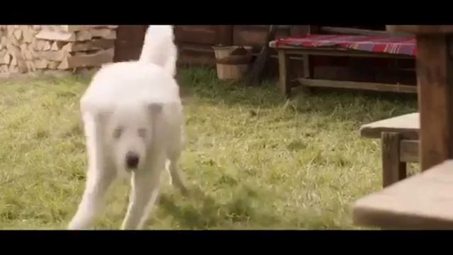 Деревенские нанотехнологии смотреть онлайн