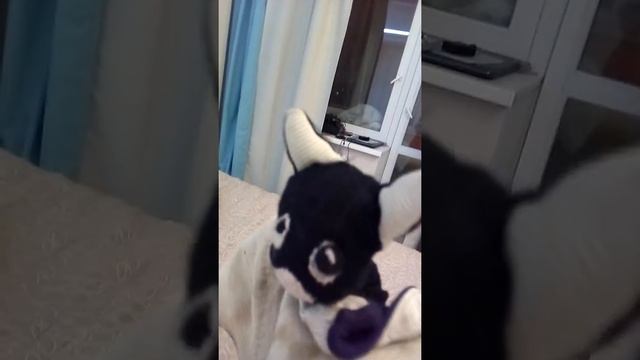 Вампир Сервис. смотреть онлайн