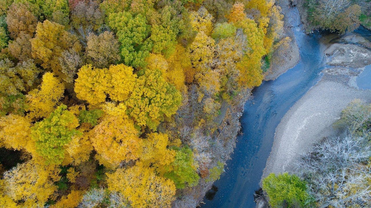 Get Yer (Coal) Ash Out of the Vermillion River! смотреть онлайн