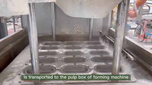How is pulp molded tableware made？ смотреть онлайн