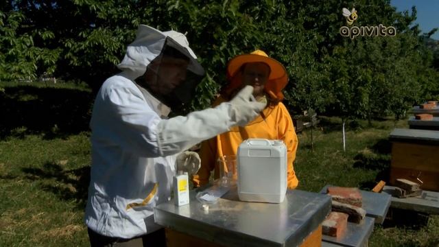 NOZEVIT - THE IMPORTANCE OF BEES смотреть онлайн