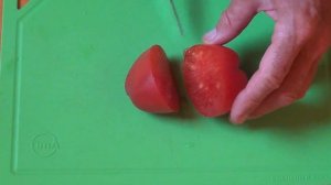 ТОМАТ СЕРДЦЕ ИТАЛИИ. У меня он не получился.