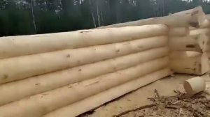 Производство сруба дома 10 на 10 в диком стиле