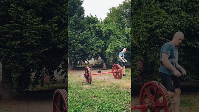 Ходьба обратным шагом в стиле Зерхера, 250 кг + сани с лямкой за голову, 60 кг. смотреть онлайн