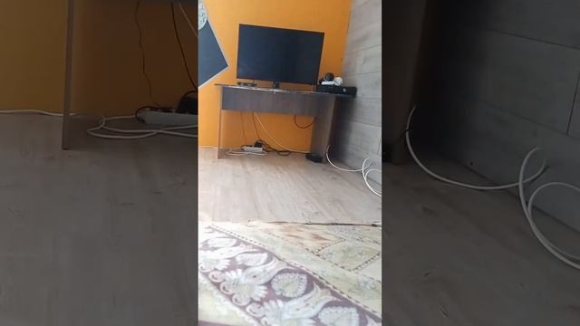 Открытие то DVD диск решающая игра смотреть онлайн