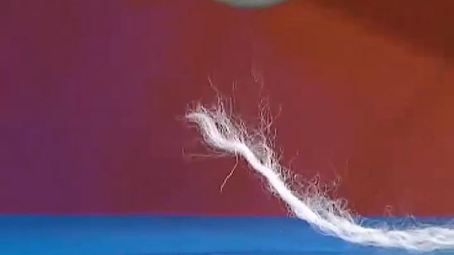 Денелердің өзара әсерлесуі. Электрлену смотреть онлайн