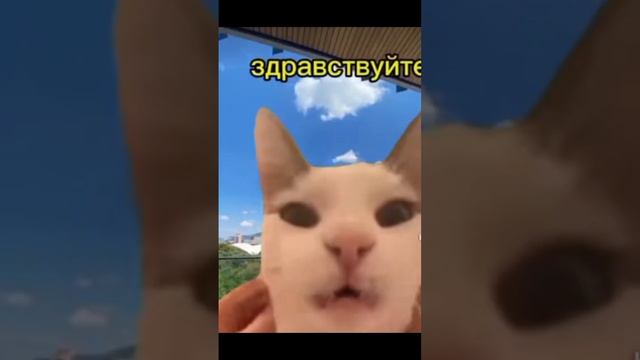 друзья ограбили магазин😨 #рек #рекомендации #мем#memes#хочуврек#рек смотреть онлайн