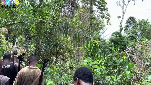 WILD HOG Hunting; RAW Reality of How Hunters Hunt for Wild Boars🐗 in 🇳🇬 | Episode 7 смотреть онлайн