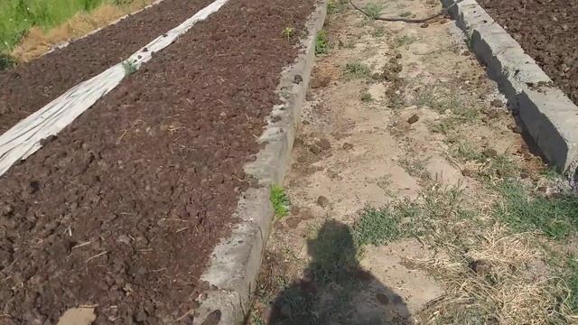 Tayyor biznes sotiladi! Ulgurib qolinglar! 100 kvadrat chuvalchang 30 million! смотреть онлайн