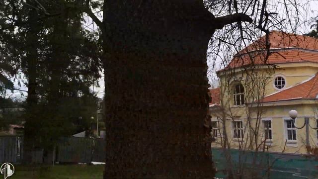Реновираната баня Банкя (03.2021) смотреть онлайн
