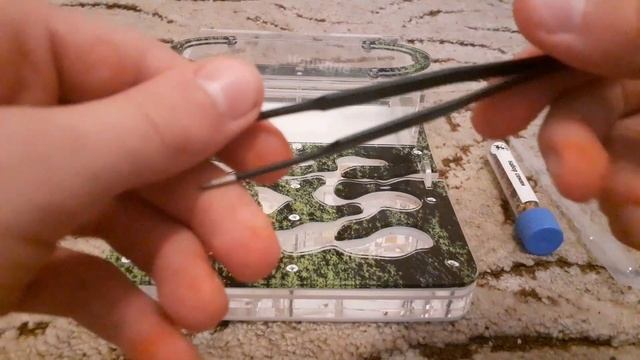 обзор новой муравьиной фермы + новые питомцы. смотреть онлайн