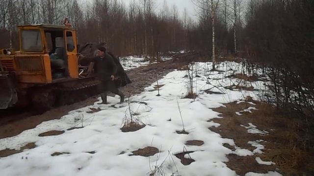 Вывозим бревна для срубов из чащи леса - srubbanidoma.ru смотреть онлайн