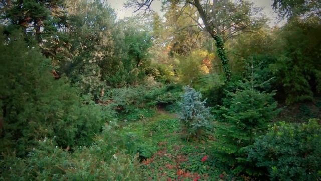 National Botanical Garden of Georgia смотреть онлайн