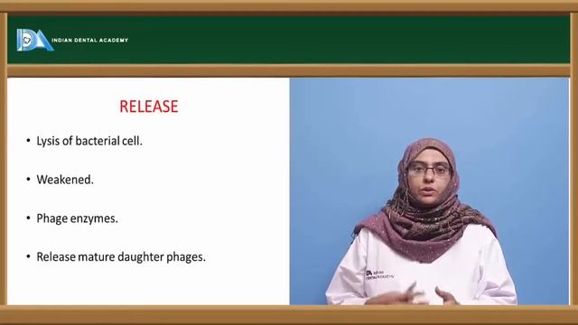 Bacteriophages | Microbiology | Indian Dental Academy смотреть онлайн