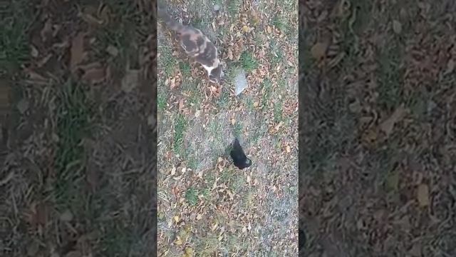 нашла закладку смотреть онлайн