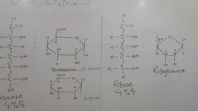 Monosaccharides, types & structures смотреть онлайн