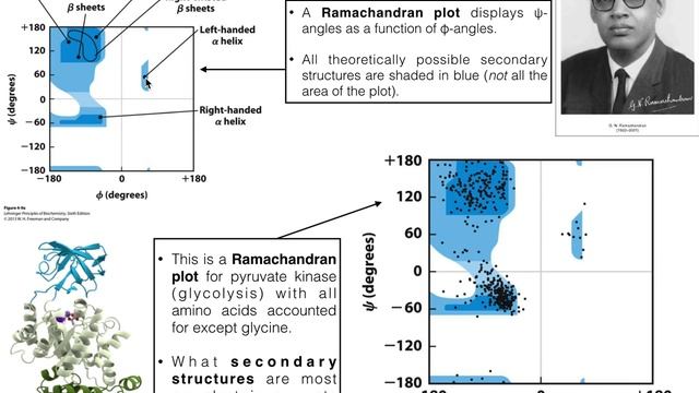 How to Interpret Ramachandran Plots смотреть онлайн