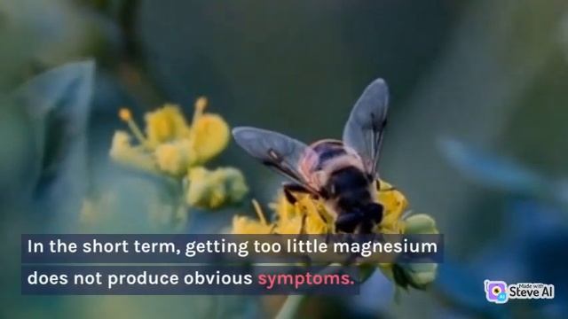 #health benifits of megnesium#be healthy"The Essential Guide to Magnesium" смотреть онлайн