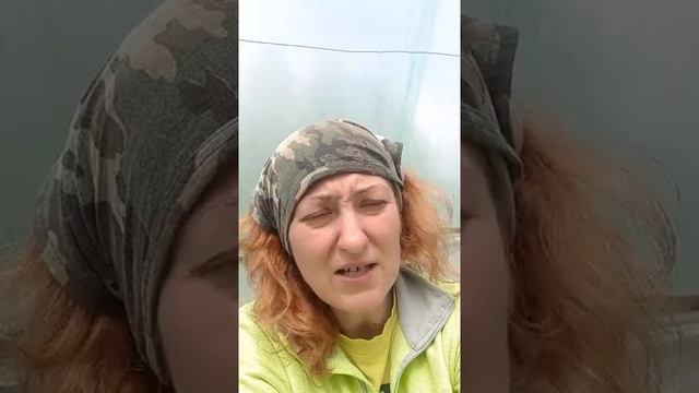 Про органику и мин.удобрения смотреть онлайн
