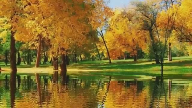 Золотая осень...исп.гр. Фристайл смотреть онлайн